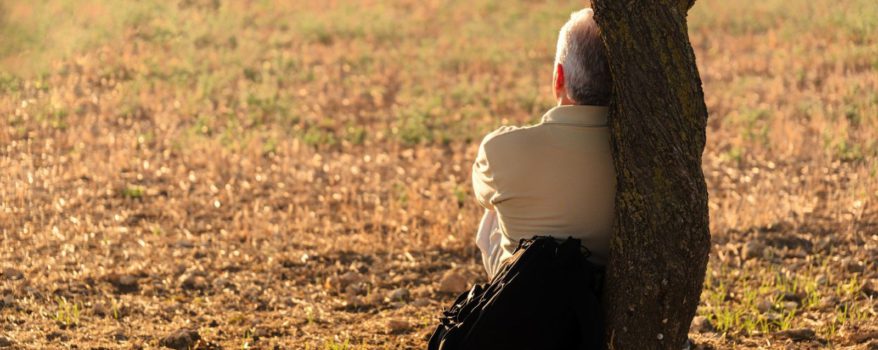 man sitting at a tree